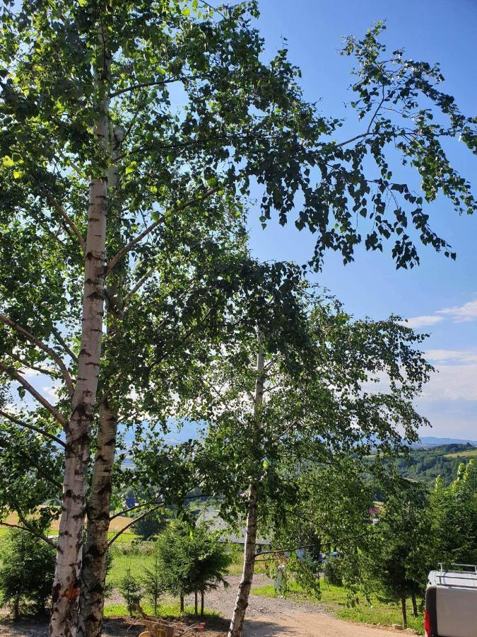 Ferienhaus Swierkowy Zakatek U Bacy