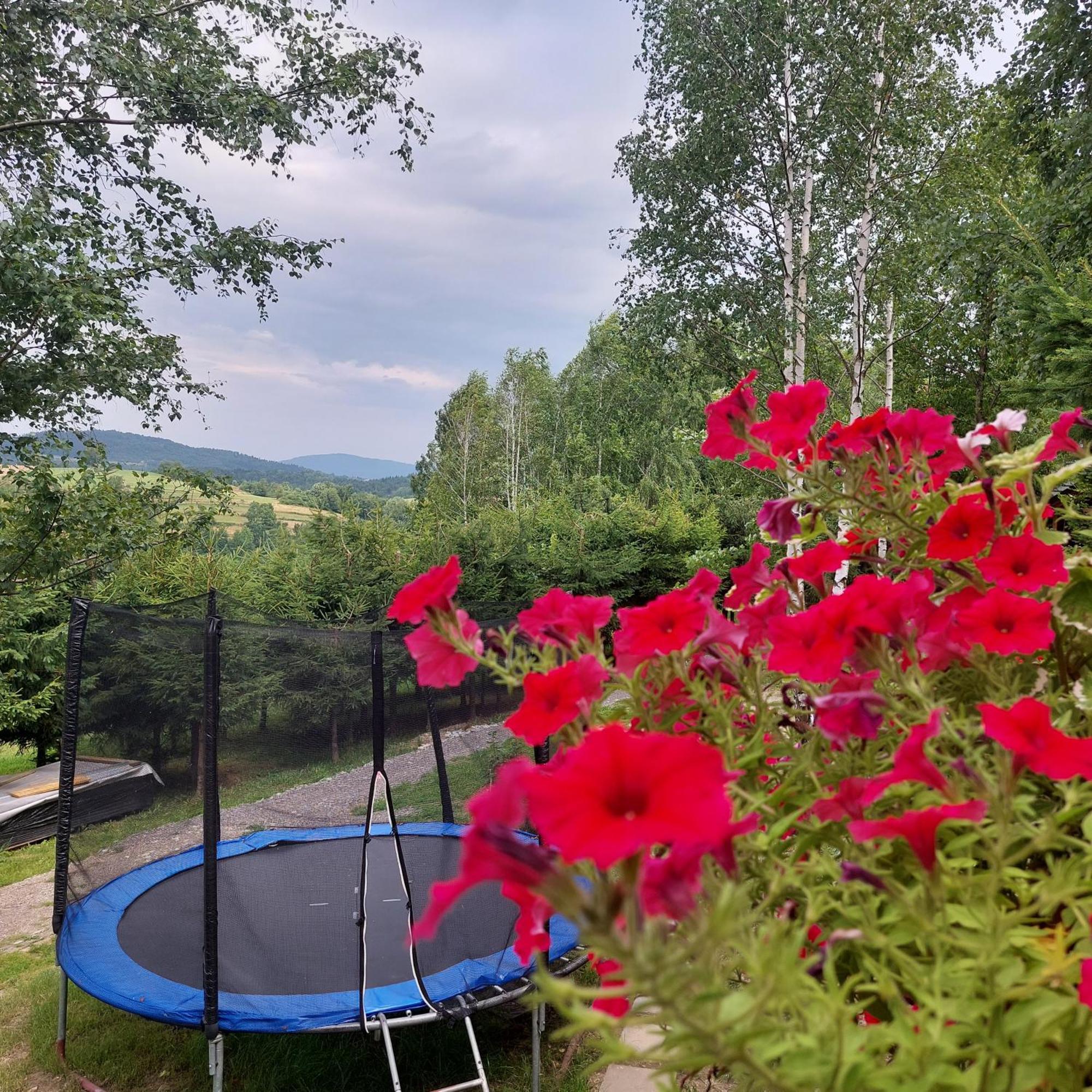 Swierkowy Zakatek U Bacy Ferienhaus